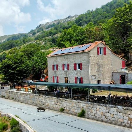 Ferme Auberge Du Col De La Vaccia Olivese المظهر الخارجي الصورة