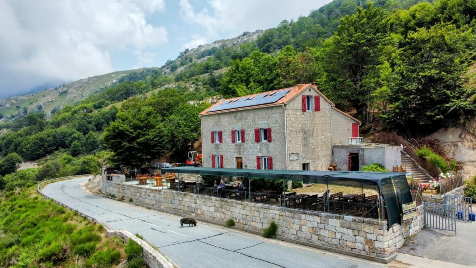 Ferme Auberge Du Col De La Vaccia Olivese المظهر الخارجي الصورة