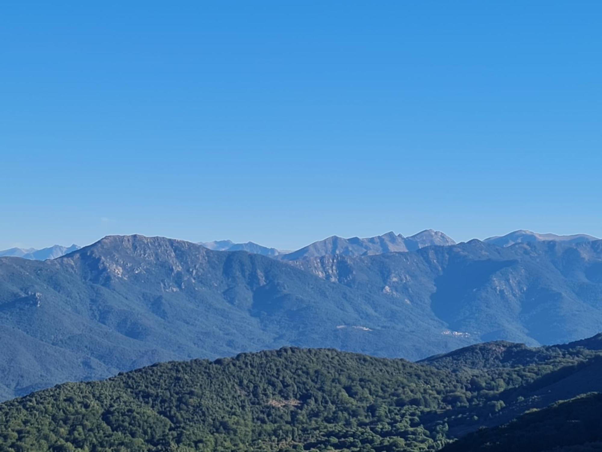 Ferme Auberge Du Col De La Vaccia Olivese المظهر الخارجي الصورة