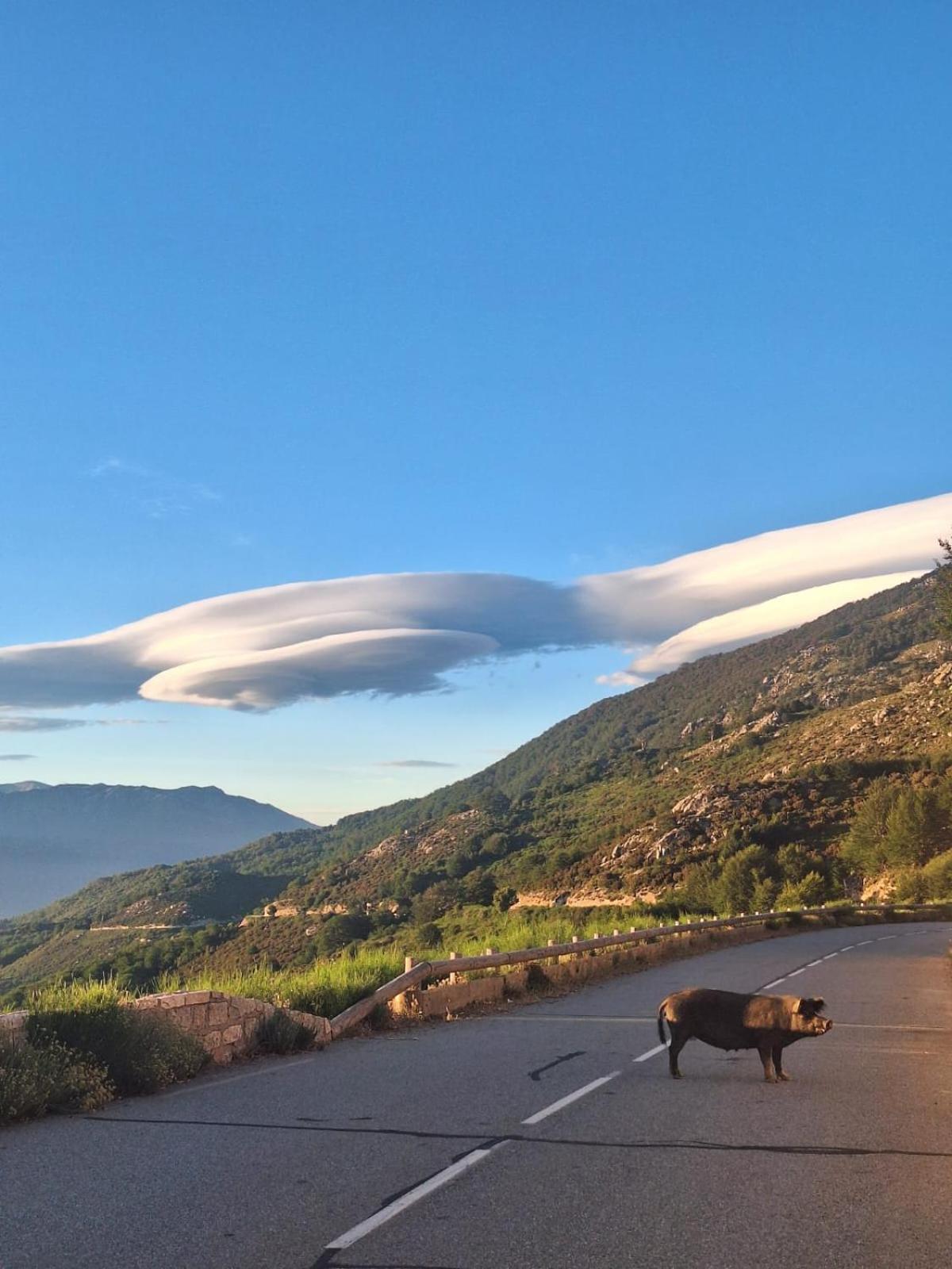 Ferme Auberge Du Col De La Vaccia Olivese المظهر الخارجي الصورة