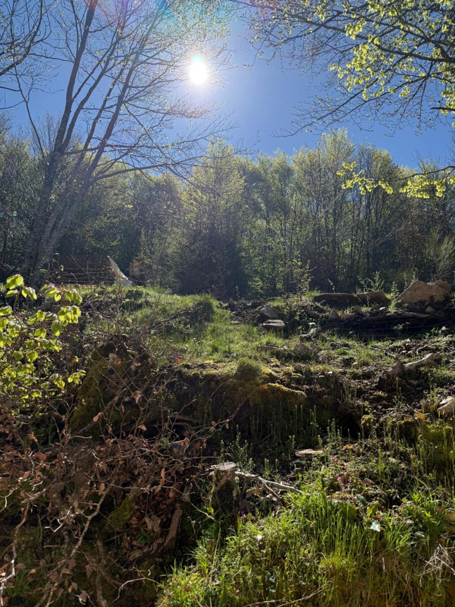 Ferme Auberge Du Col De La Vaccia Olivese المظهر الخارجي الصورة